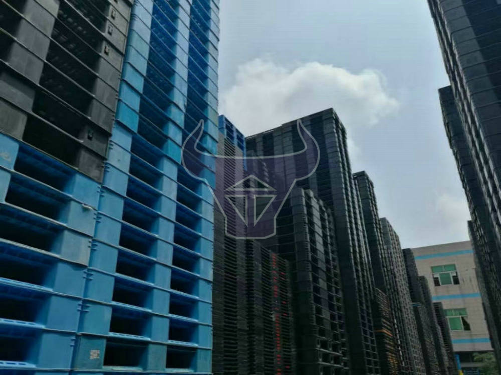 二手进口栈板品质，塑胶栈板图片，二手塑胶栈板价格，栈板批发供应